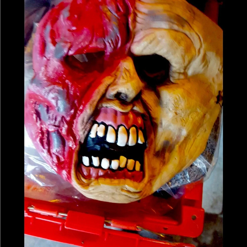 Two-Tone Horror Mask Rotten face mask soft vinyl ages 8+ new